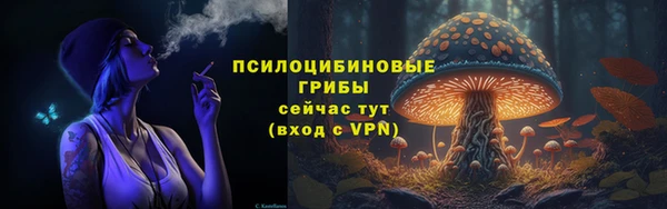 сатива Беломорск