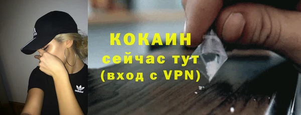 сатива Беломорск