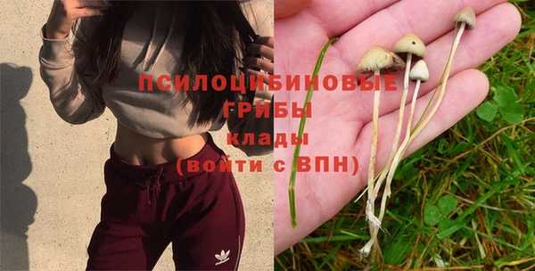 дурь Белокуриха