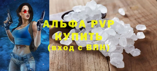 сатива Беломорск
