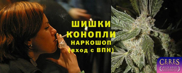 сатива Беломорск