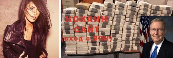 сатива Беломорск