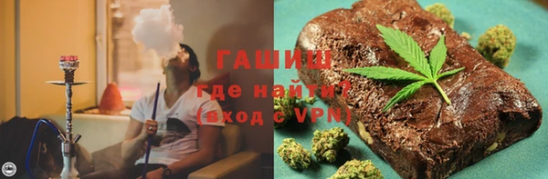 сатива Беломорск